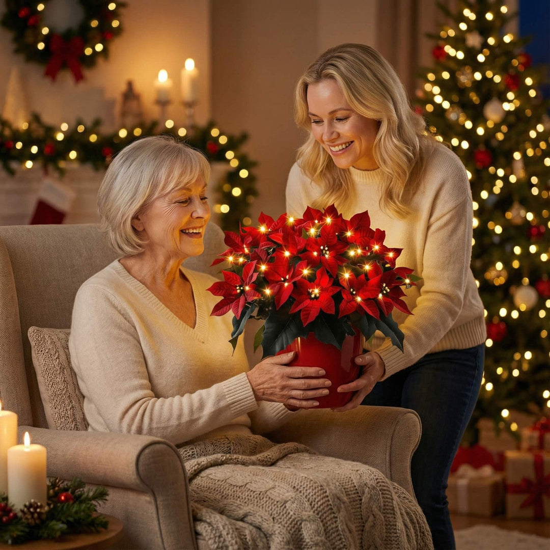 Kerststar Rubinowy
